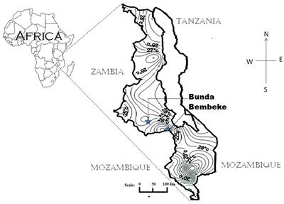 Preliminary Studies of the Performance of Quinoa (Chenopodium quinoa Willd.) Genotypes under Irrigated and Rainfed Conditions of Central Malawi